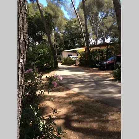 Cabanon A Sur Au Coeur De Portissol. Holiday home